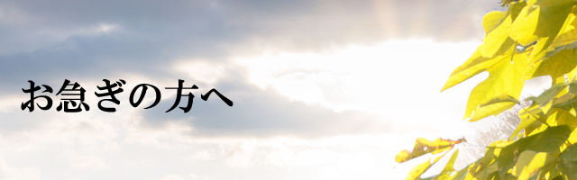 ���ޤ�������